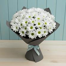 Букет цветов из:  Хризантемы #REPLACE_PRED# Карымском