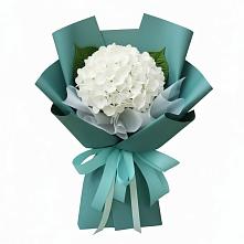 Букет цветов из:  Гортензия #REPLACE_PRED# Карымском